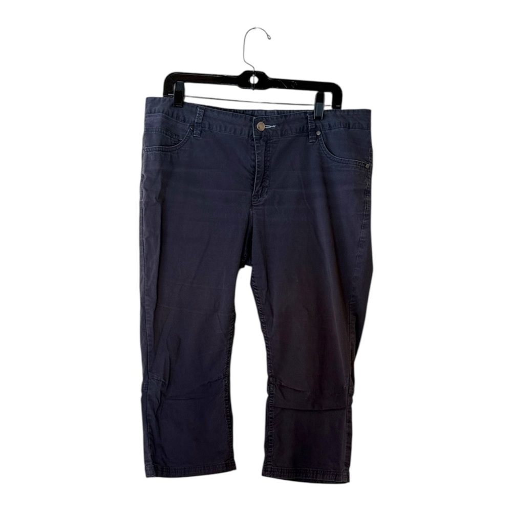 Toad & Co Dark Gray Cropped Pants